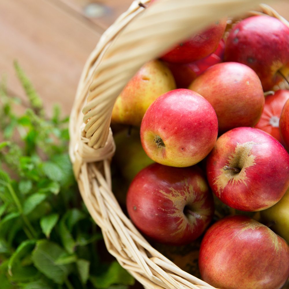 Apple Sage Homemade Soap (Set of 2 Bars)