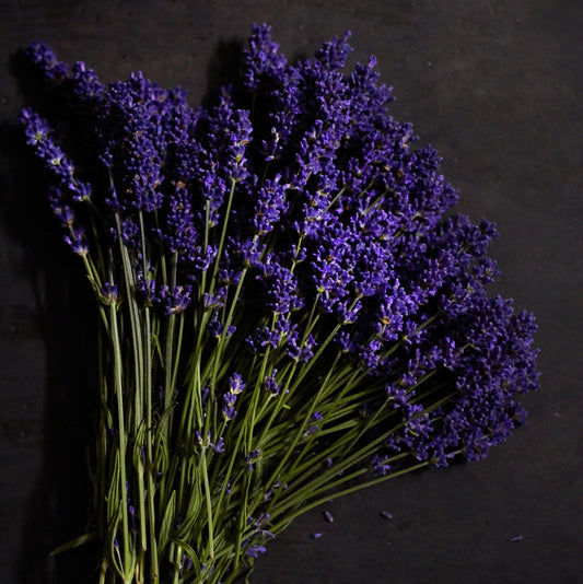 Black Amber & Lavender Homemade Soap (Set of 2 Bars)